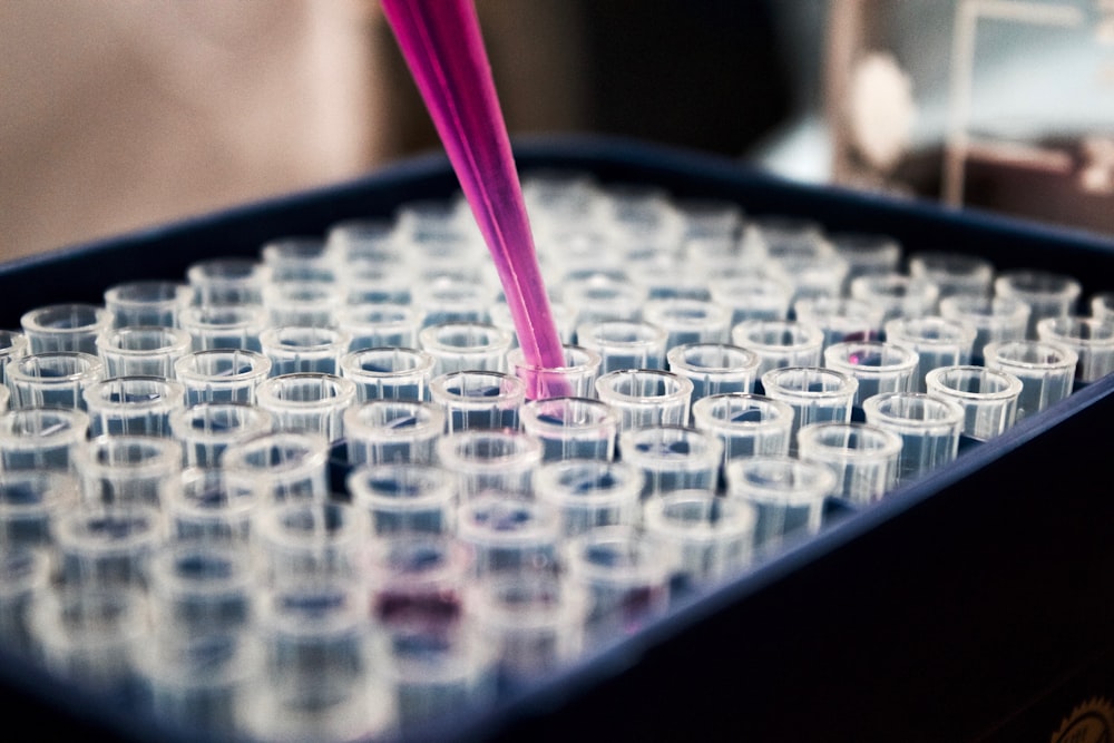 Gas Chromatography & Edible Oil Analysis